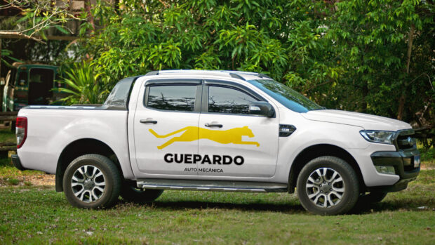 Apresentação_Guepardo